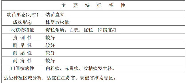 镇麦15主要特征特性