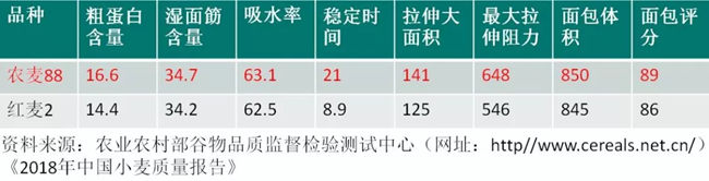 和全国另外一个强筯红麦品种比