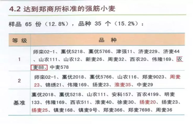 郑交所一级强筋麦唯一红麦品种