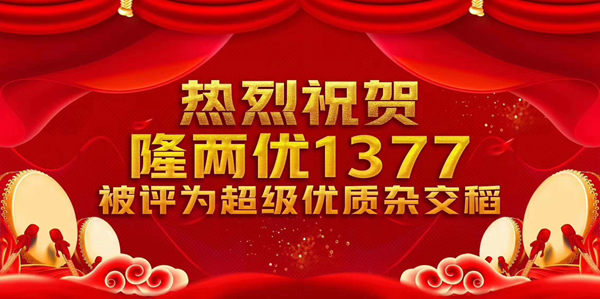 2019年隆两优1377被评为农业部超级优质杂交稻