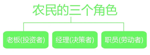 农户的三个角色