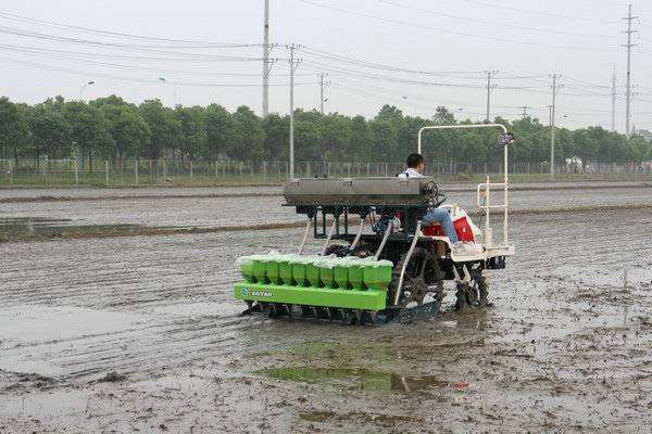 水稻直播