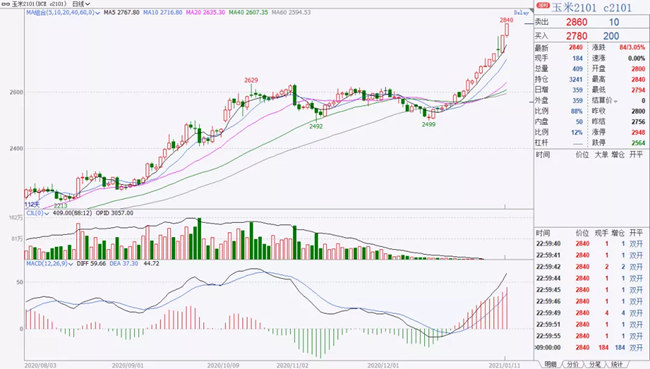 玉米2101合约最高涨至2840元/吨