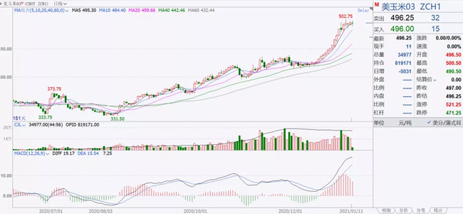 美玉米03合约突破5美元/蒲式耳