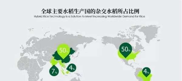 世界杂交稻种植比例分布图