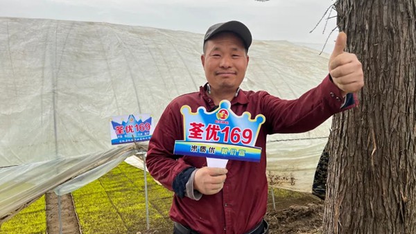 荃优169种植户